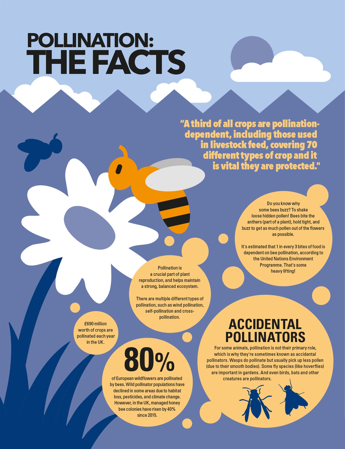 pollination infographic pollination infographic